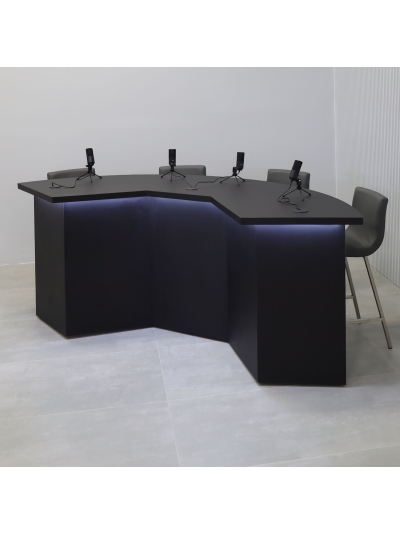 Tampa Bay Custom Handmade Podcast Table